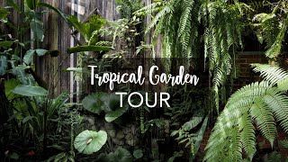 Tropical Garden Tour with Exotic Tropical Plants with plant names [upl. by Wyon]