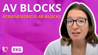 Atrioventricular Blocks AV Blocks  EKG Interpretation  LevelUpRN [upl. by Karly]