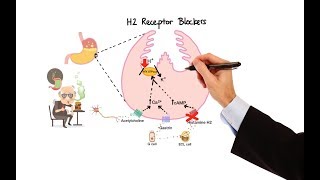 Pharmacology  ANTIHISTAMINES MADE EASY [upl. by Flanigan]