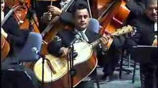 VIOLIN HUAPANGO MARIACHI VARGAS DE TECALITLAN [upl. by Atinihc961]