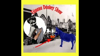 Tijuana Donkey show [upl. by Valida]