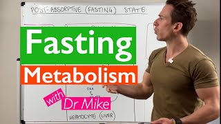 Fasting  What does it do to your body [upl. by Publea]