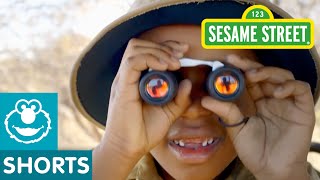 Sesame Street Take A Safari [upl. by Liggett77]