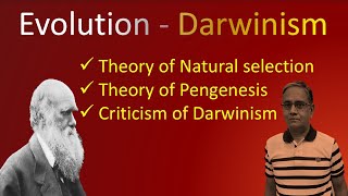 DARWINISM [upl. by Socem124]