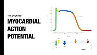 Ventricular Action Potential  Medzcool [upl. by Aneev776]