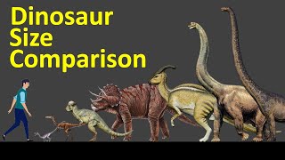 Dinosaur Size Comparison [upl. by Standush]