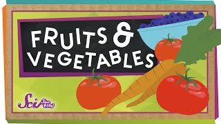 Whats the Difference Between Fruits and Vegetables [upl. by Papst]