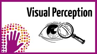 Visual Perception – How It Works [upl. by Enyalaj]