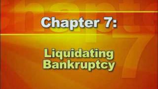 Bankruptcy Basics  Part 2 Types of Bankruptcy [upl. by Atoiyanap583]