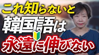 【韓国語初心者必見🔰】勉強前に知るべき3つの大切なこと  現役韓国語講師が赤裸々アドバイス 4K [upl. by Jsandye]