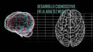 Desarrollo En La Adultez Media [upl. by Econah103]