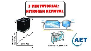 Increase Nitrogen removal [upl. by Hadihsar]