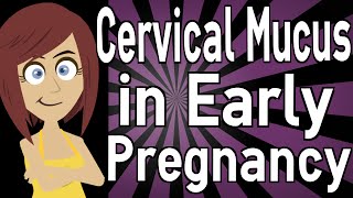 Cervical Mucus in Early Pregnancy [upl. by Aile]