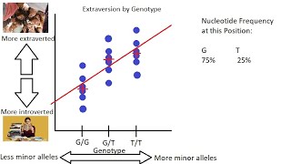 Linear and Logistic Regression  GenomeWide Association Studies GWAS Explained Simply Part 4 [upl. by Claribel]