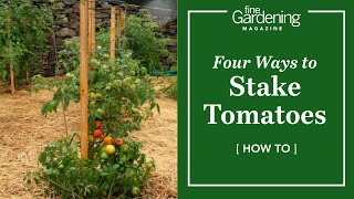 Four Ways to Stake Tomatoes [upl. by Coralyn37]