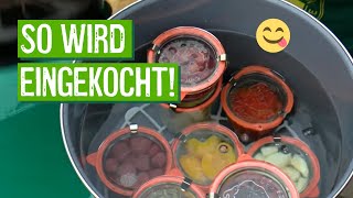 Wohin mit der Ernte Obst und Gemüse einkochen [upl. by Eessej]