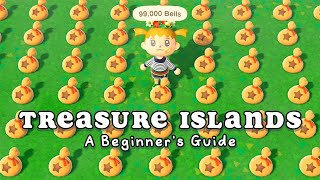 How to use Treasure Islands in Animal Crossing New Horizons [upl. by Ettari]