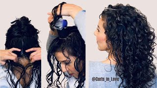 How to Style Naturally Curly Hair  Beginner Routine amp Techniques [upl. by Drapehs983]