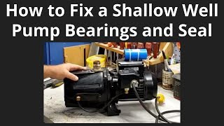 How to Repair a Shallow Well Pump Bearing and Mechanical Seal [upl. by Michiko510]