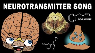 THE NEUROTRANSMITTER SONG [upl. by Ries]