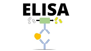 ELISA Enzymelinked Immunosorbent Assay [upl. by Vincent]