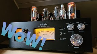 WOW TUBES LM 845 Premium by Line Magnetic SET Integrated Amp  Denafrips Terminator R2R DAC Part 1 [upl. by Magdaia979]