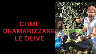 Come deamarizzare le olive [upl. by Airdnas46]