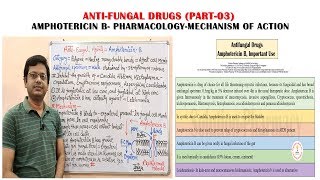 Antifungal Drugs Part03 Amphotericin B Pharmacology amp Mechanism of Action  Antifungal Medicines [upl. by Pomfrey]