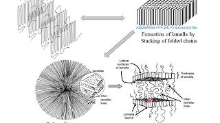 Polymer Crystallization [upl. by Kimmy347]