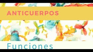 Funciones de los anticuerpos [upl. by Nayhr309]