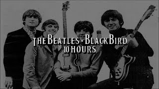 Blackbird by The Beatles for 10 Hours [upl. by Aniluap]