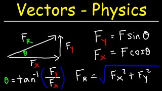 Vectors  Basic Introduction  Physics [upl. by Kenleigh]