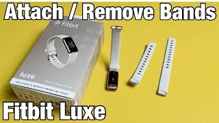 Fitbit Luxe How to Attach  Remove Wrist Band [upl. by Jorgan]