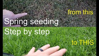 How to GROW GRASS in the SPRING successfully step by step [upl. by Ennairek769]