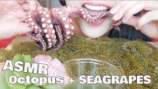 ASMR Octopus  Seagrapes  Crunchy GINGER EATING SOUNDS  SASASMR [upl. by Adriano]