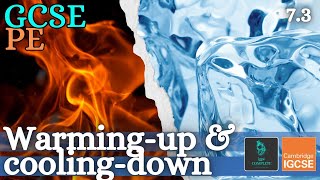 GCSE PE  WARMING UP amp COOLING DOWN phases amp benefits  Health Fitness amp Training 73 [upl. by Stearne]