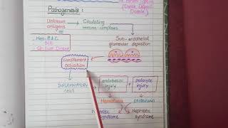 Membranoproliferative Glomerulonephritis  Pathology [upl. by Anot101]