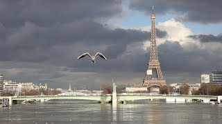 Drone footage shows Paris flooding [upl. by Led]