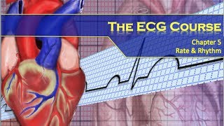 The ECG Course  Rate amp Rhythm [upl. by Juan]