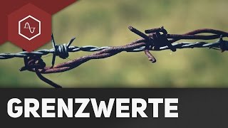 Grenzwerte Verhalten im Unendlichen [upl. by Netsirhc]