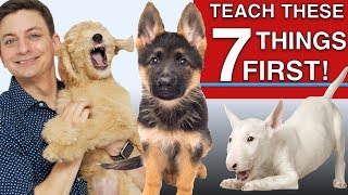 How to Teach The First 7 Things To Your Dog Sit Leave it Come Leash walking Name [upl. by Amo]