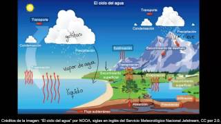 El ciclo del agua  Ecología  Biología  Khan Academy en Español [upl. by Divd]