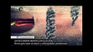 Anticuerpos monoclonales [upl. by Acessej548]