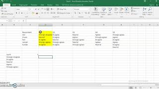 Results of Likert Scale on Excel [upl. by Berny681]