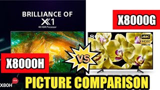 Sony X8000H vs X8000G  Picture Comparison [upl. by Kiyohara]