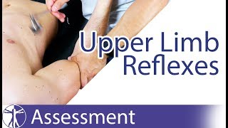 Upper Limb Deep Tendon Reflexes  Peripheral Neurological Examination [upl. by Katti]