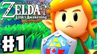 The Legend of Zelda Links Awakening  Gameplay Part 1  Intro and Tail Cave Nintendo Switch [upl. by Tulley]