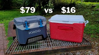 Igloo BMX 25 vs Basic Cooler [upl. by Colleen]