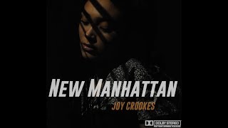 Joy Crookes  New Manhattan Audio [upl. by Assilac]