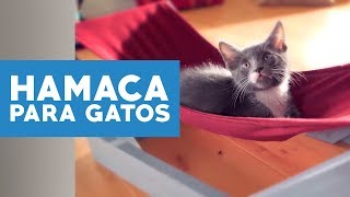 Cómo hacer una hamaca para gatos [upl. by Ahsitel]